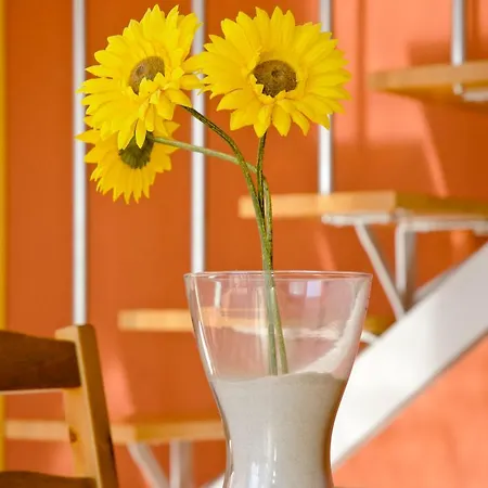 Bon Sol Apartment L'Estartit
